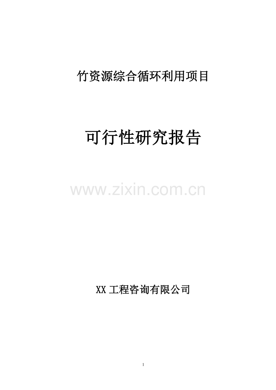 竹资源综合循环利用项目可行性论证报告.doc_第1页