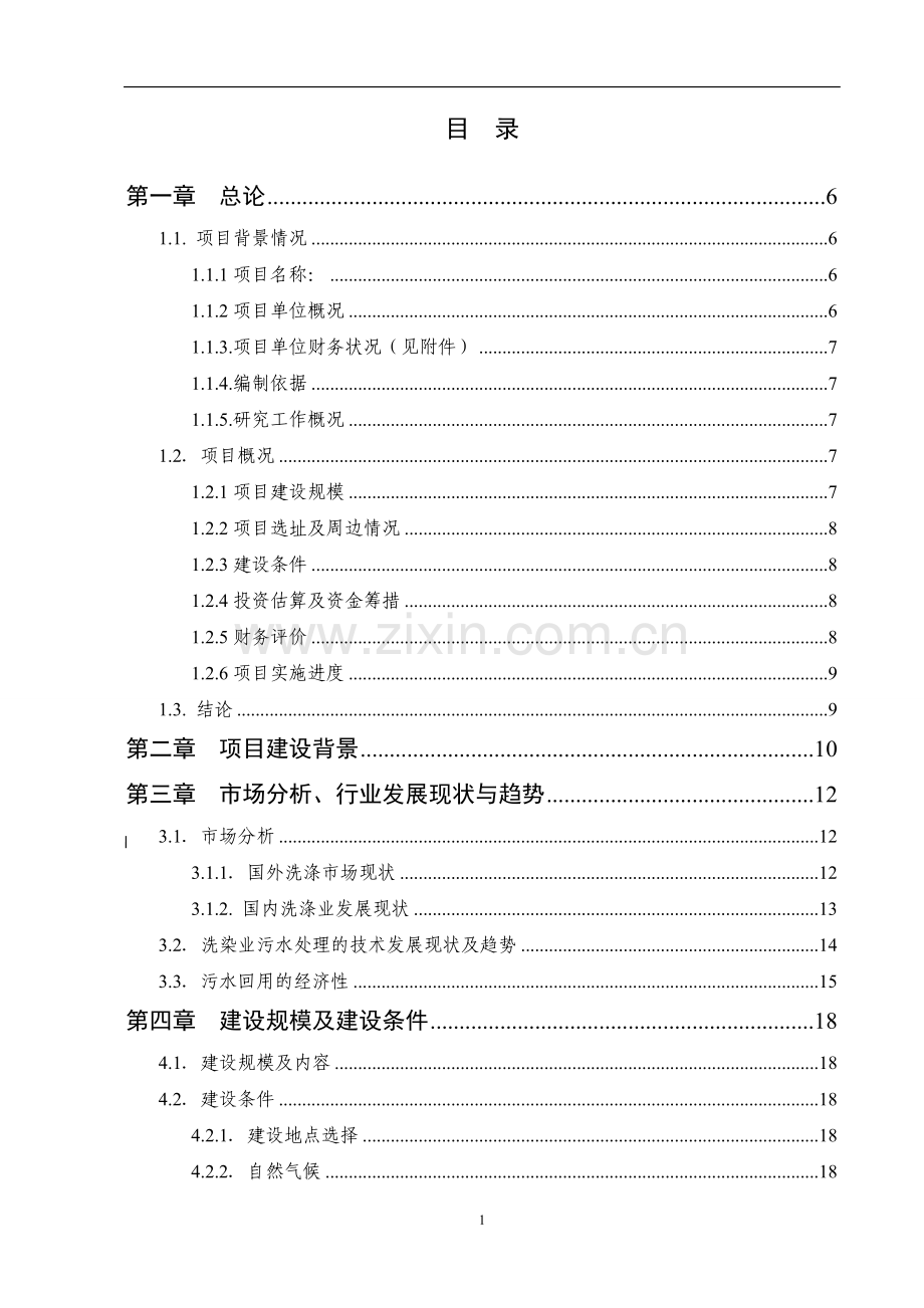 大型环保洗涤城项目书.doc_第1页