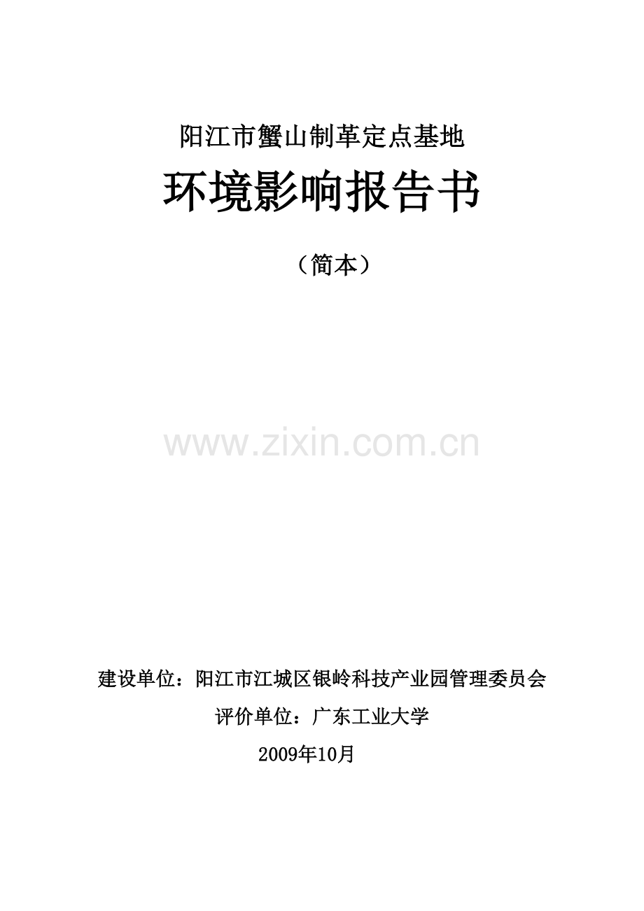 阳江市蟹山制革定点基地建设环境风险评估报告.doc_第1页
