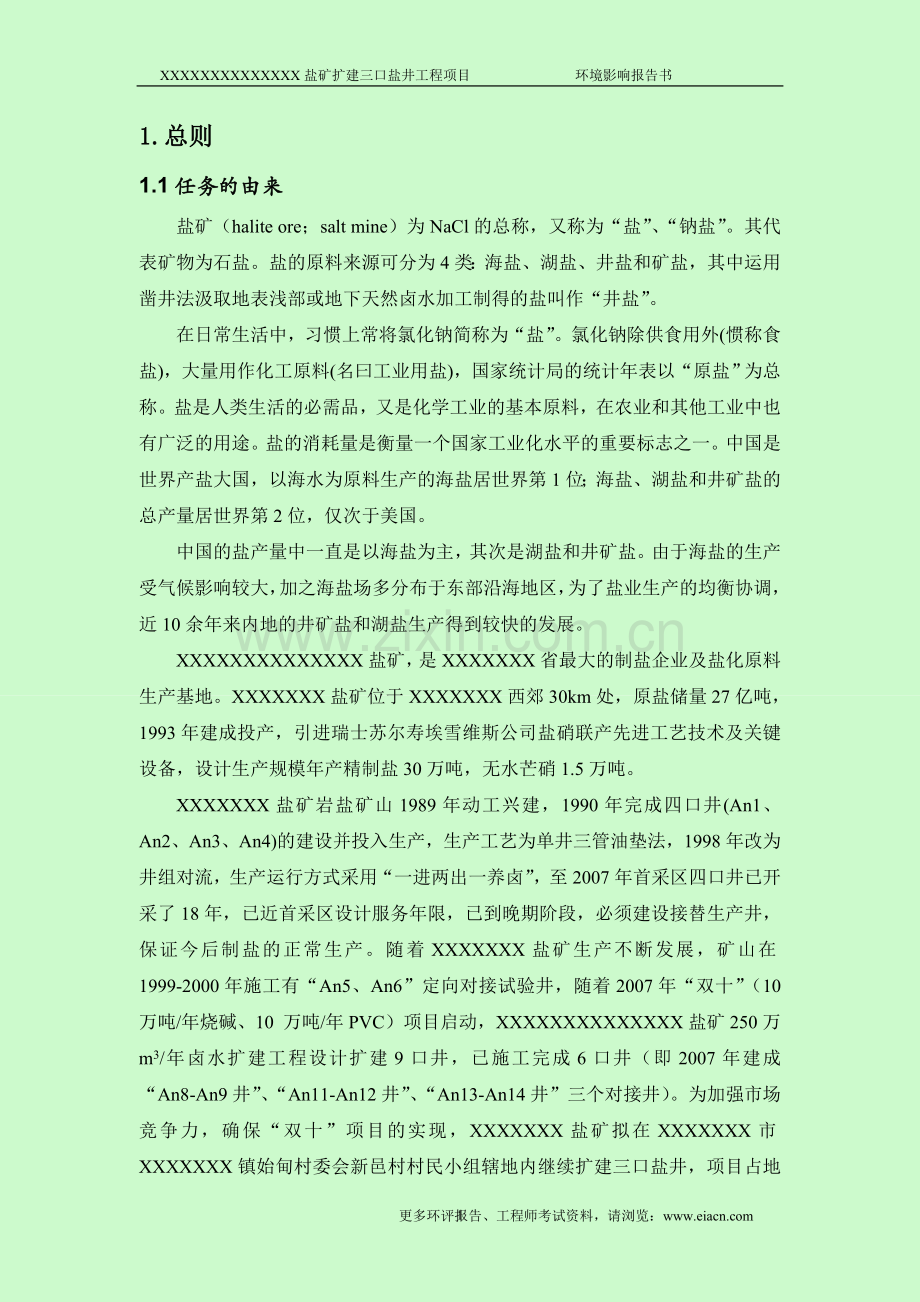 盐矿扩建工程投资环境评估报告.doc_第1页