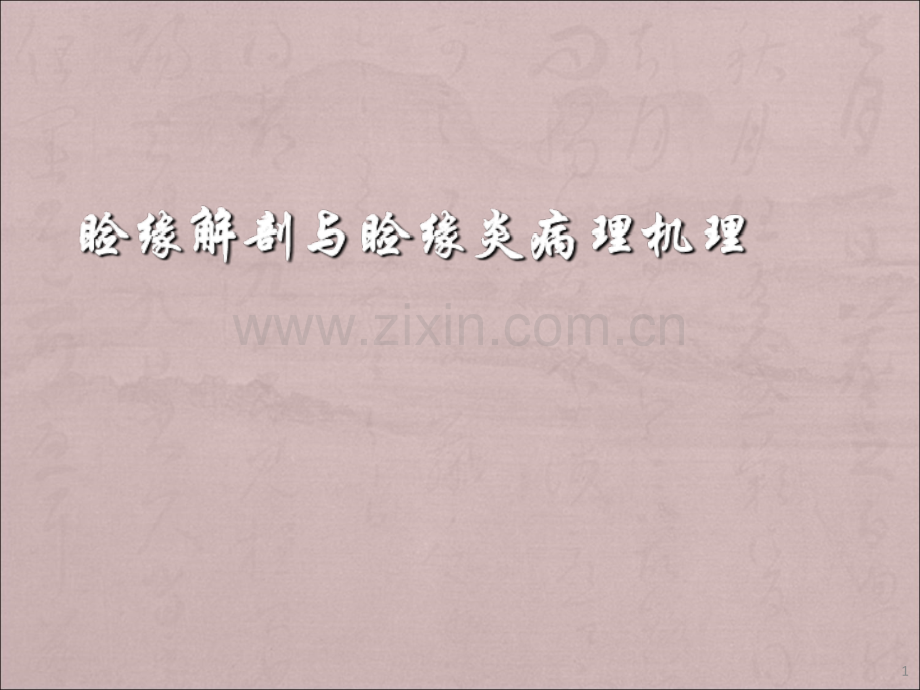 睑缘解剖和睑缘炎病理机理ppt课件.ppt_第1页