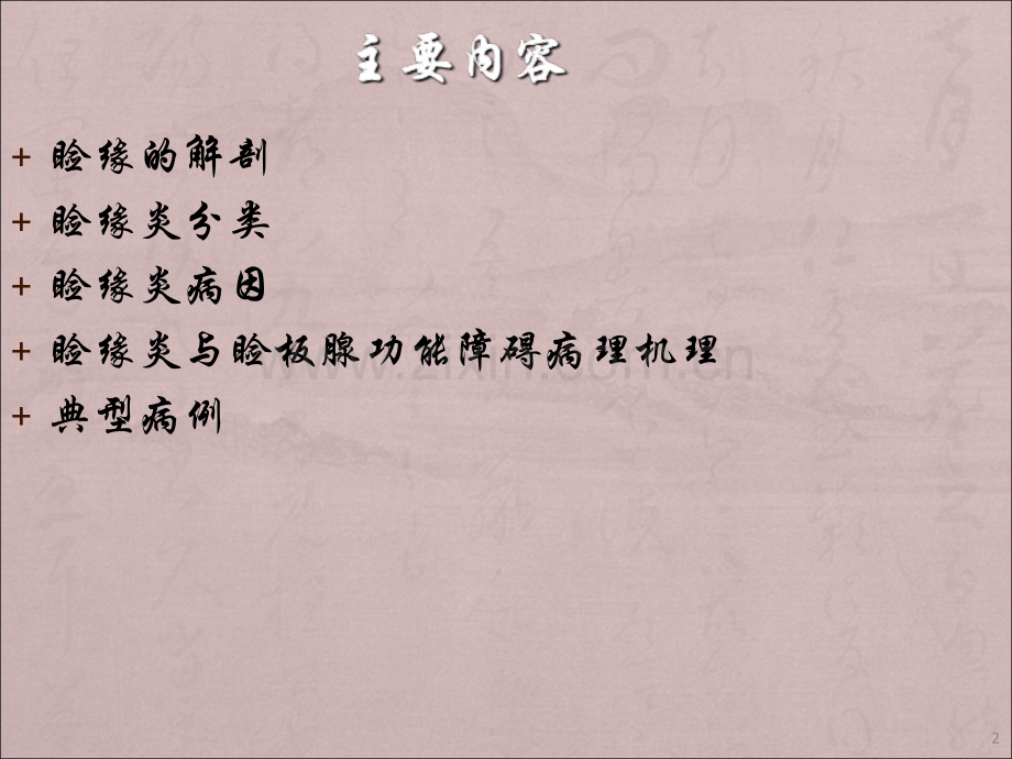 睑缘解剖和睑缘炎病理机理ppt课件.ppt_第2页