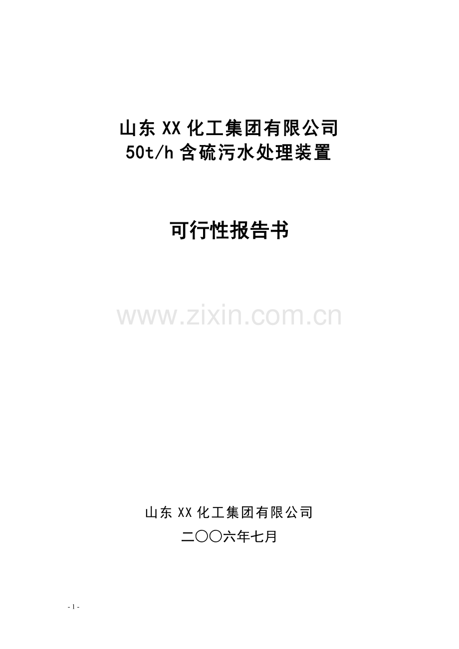 山东x化工集团有限公司50th含硫污水处理装置可行性论证报告.doc_第1页