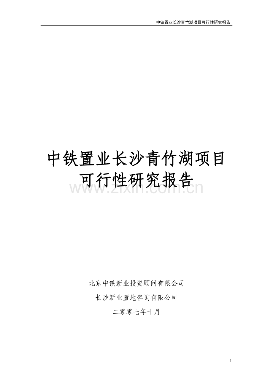 中铁置业长沙青竹湖项目可行性论证报告.doc_第1页