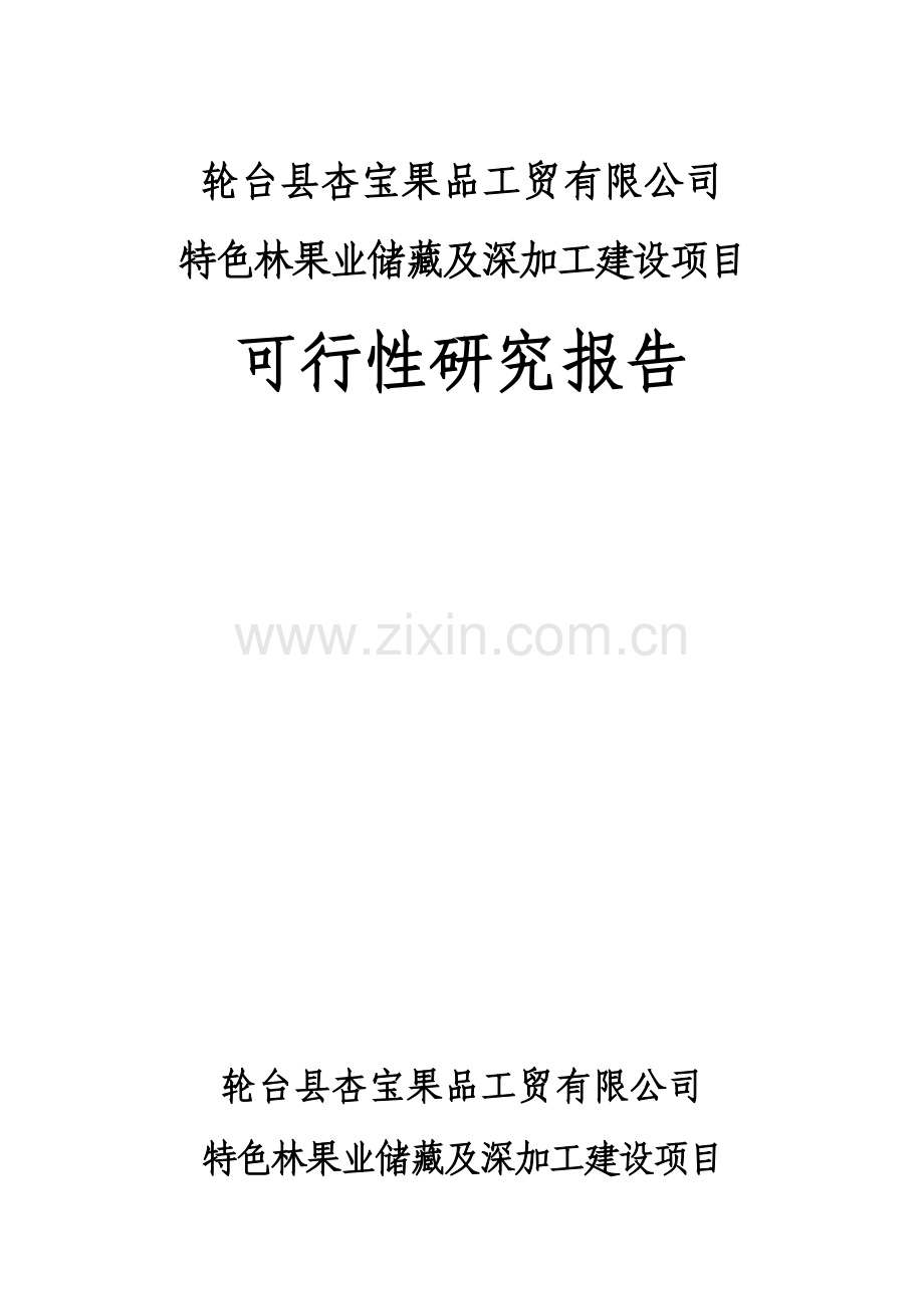 特色林果业储藏及深加工可行性论证报告.doc_第1页
