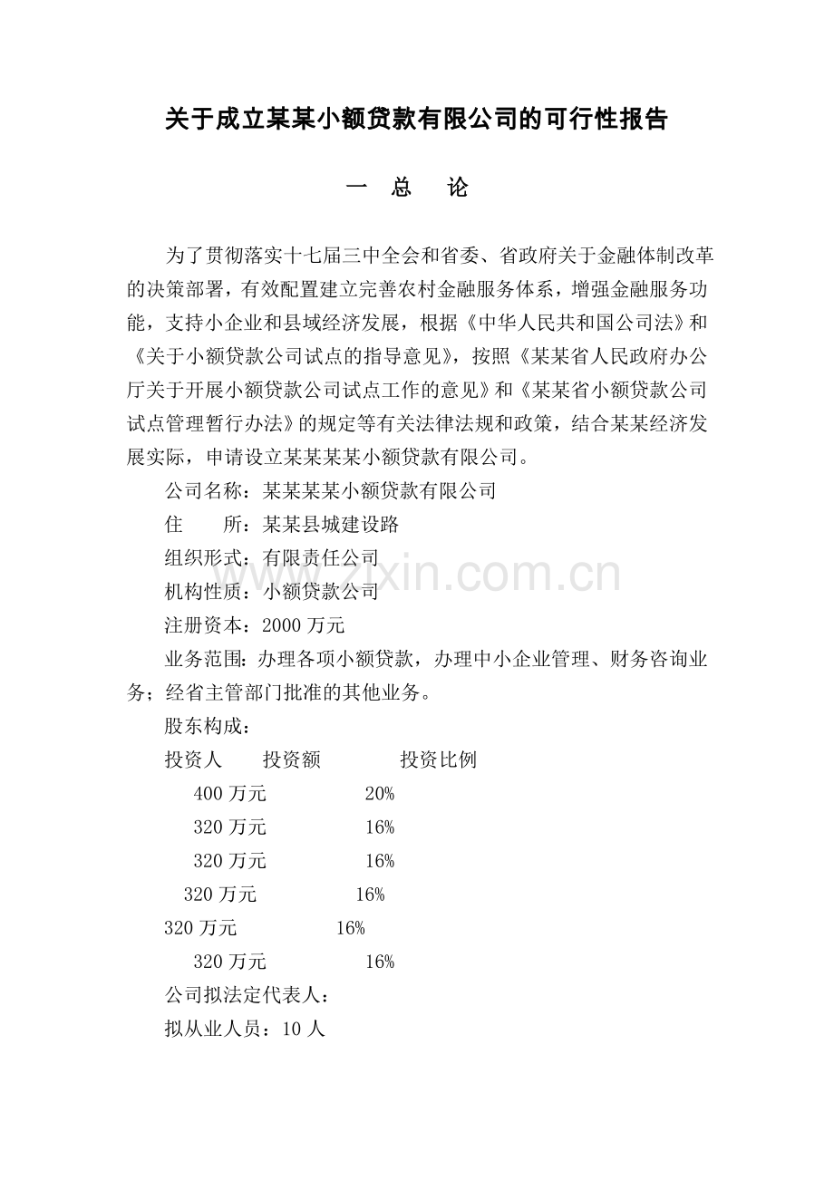 成立贷款公司项目可行性谋划书.doc_第1页