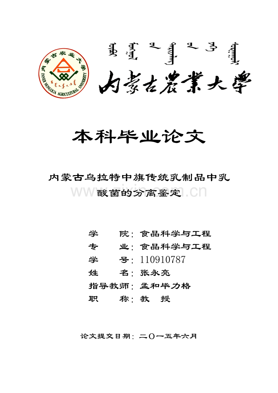 内蒙古乌拉特中旗传统乳制品中乳酸菌的分离鉴定.doc_第1页