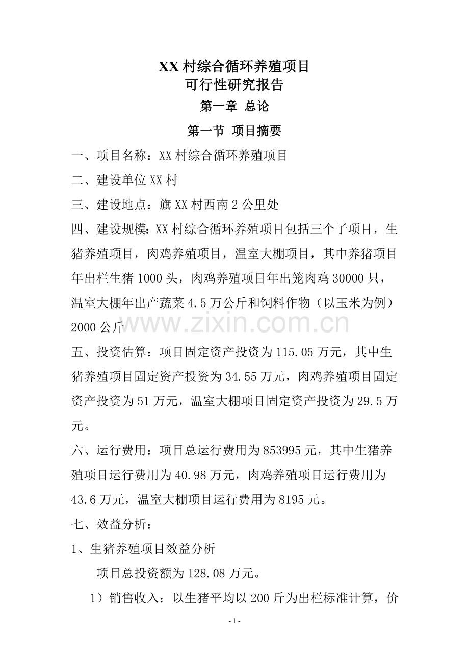 综合循环养殖项目可行性分析报告.doc_第1页
