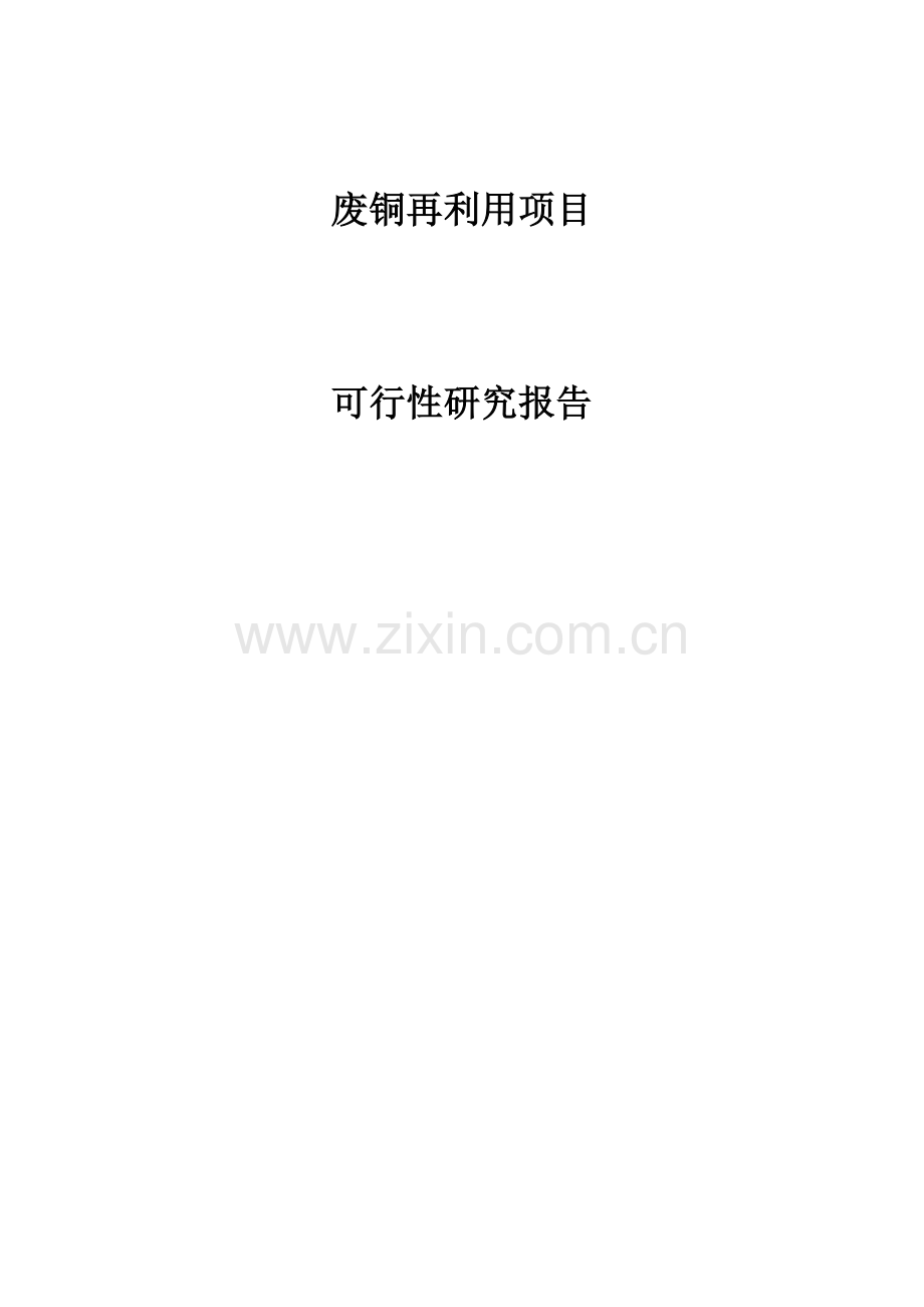 10万吨杂铜再生利用项目工程可行性研究报告.doc_第1页