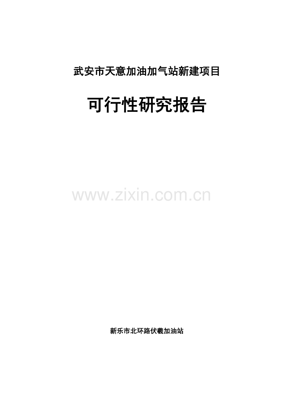 天意加油加气站新建项目可行性策划书.doc_第1页