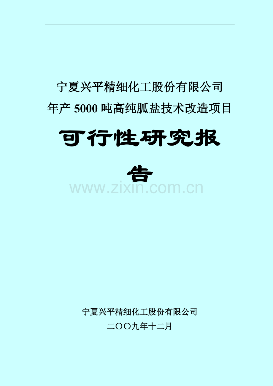 年产5000吨高纯胍盐技术改造项目可行性研究报告.doc_第1页