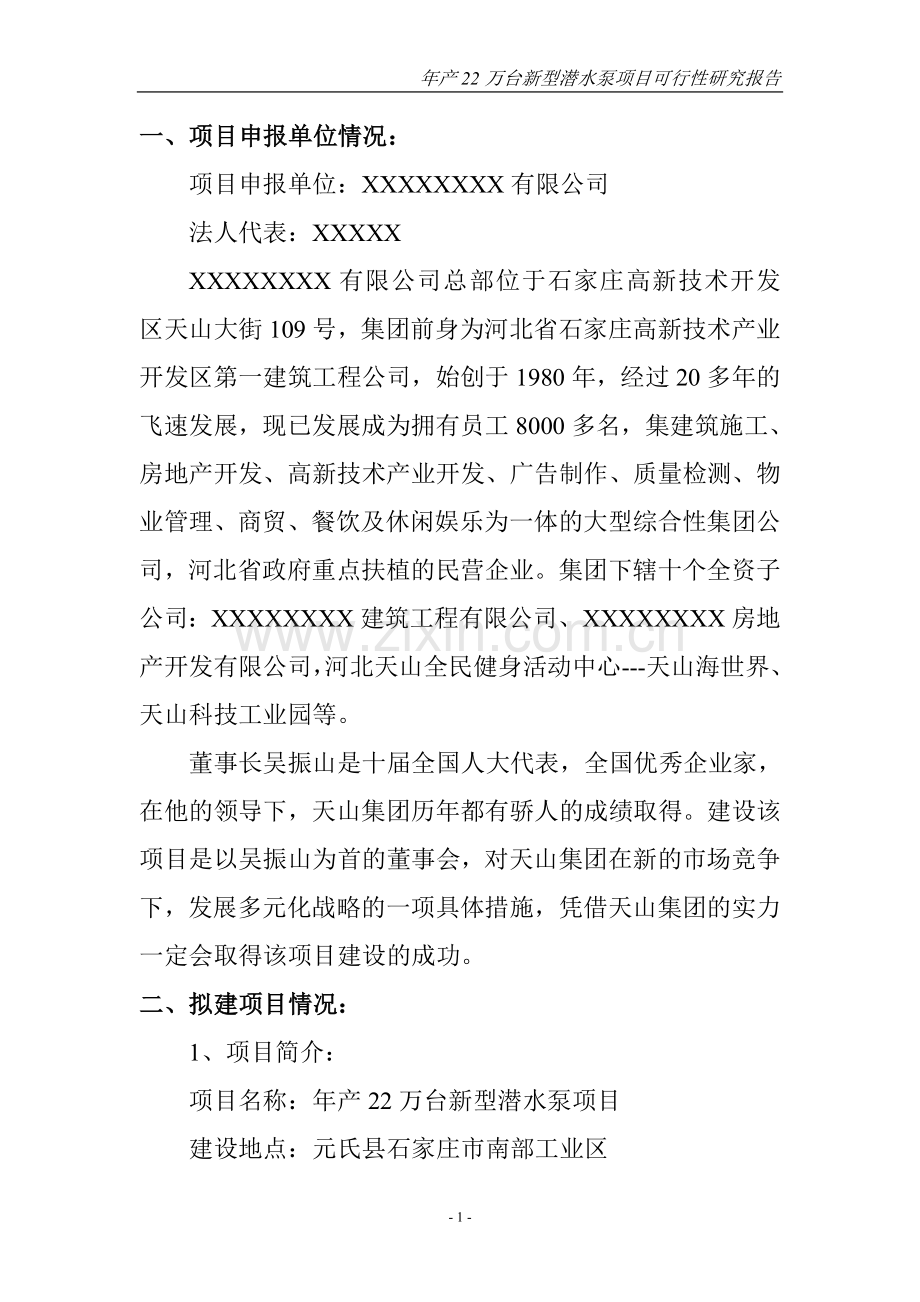 新型潜水泵项目可行性策划书.doc_第1页