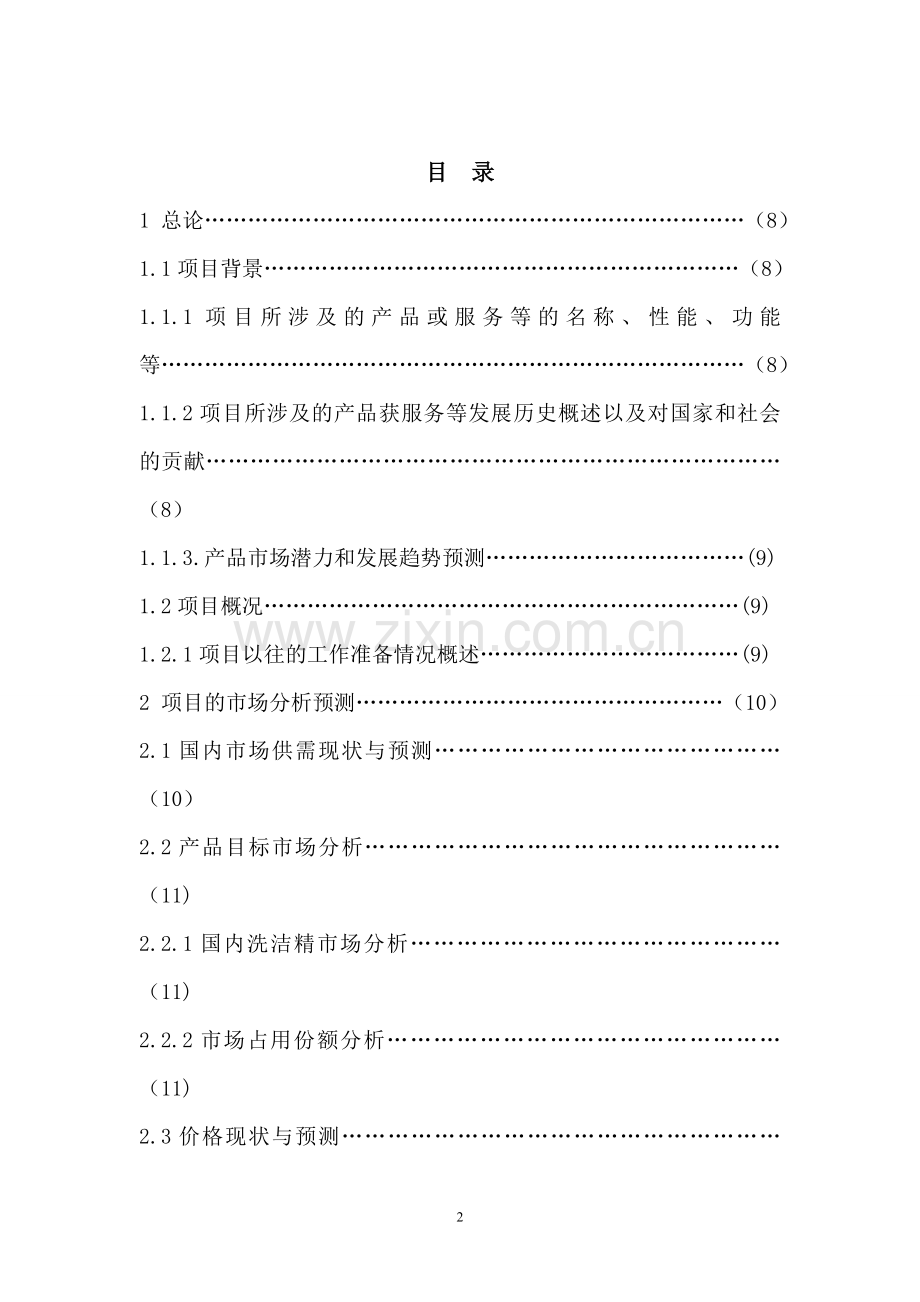 2百吨洗洁精项目可行性论证报告.doc_第2页