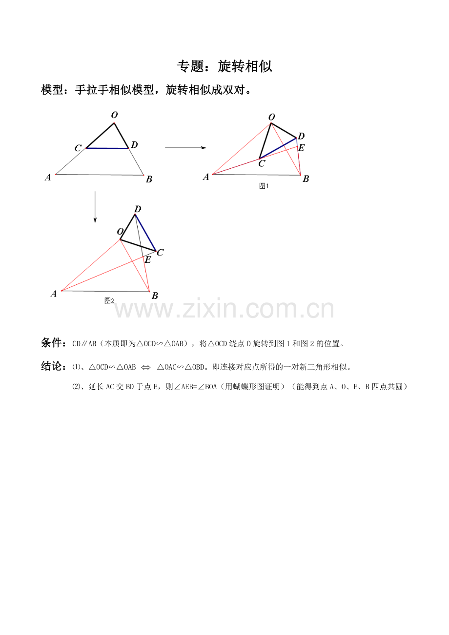初三数学旋转相似讲义.doc_第1页