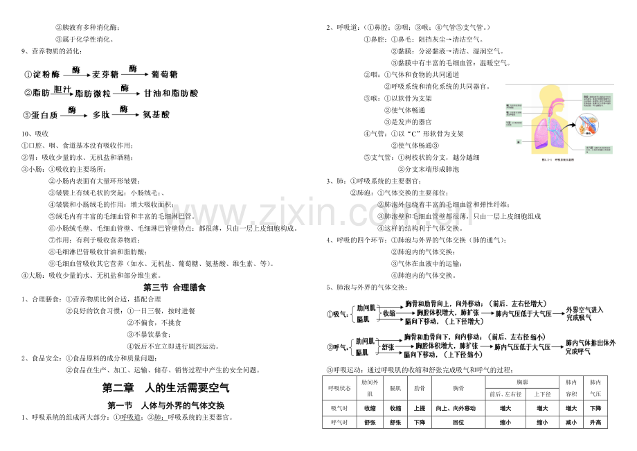 济南版七年级下册生物期末复习提纲.doc_第2页