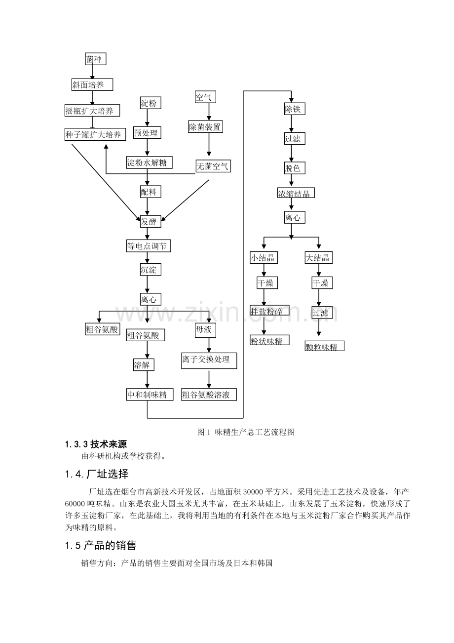 年产60000吨味精工厂项目可行性论证报告.doc_第2页