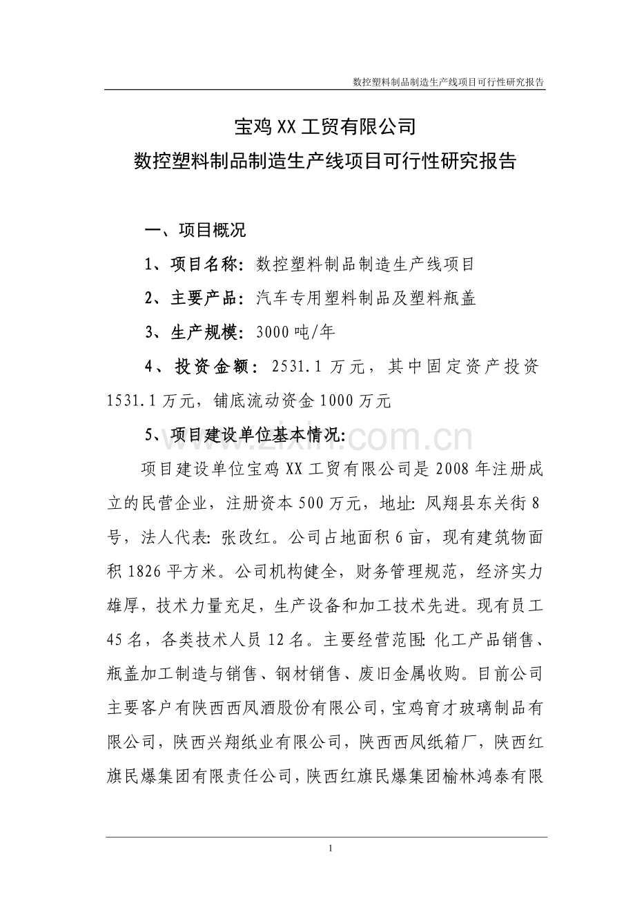 数控塑料制品生产线项目可行性论证报告书.doc_第1页
