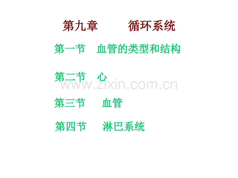 人体解剖学循环系统.ppt_第2页
