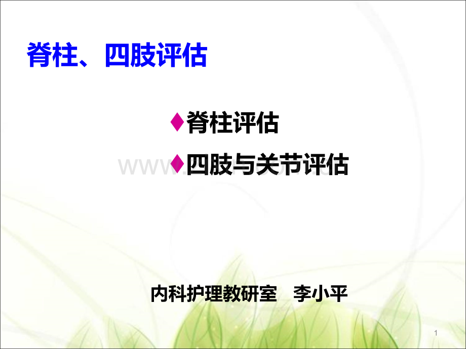 脊柱四肢评估.ppt_第1页