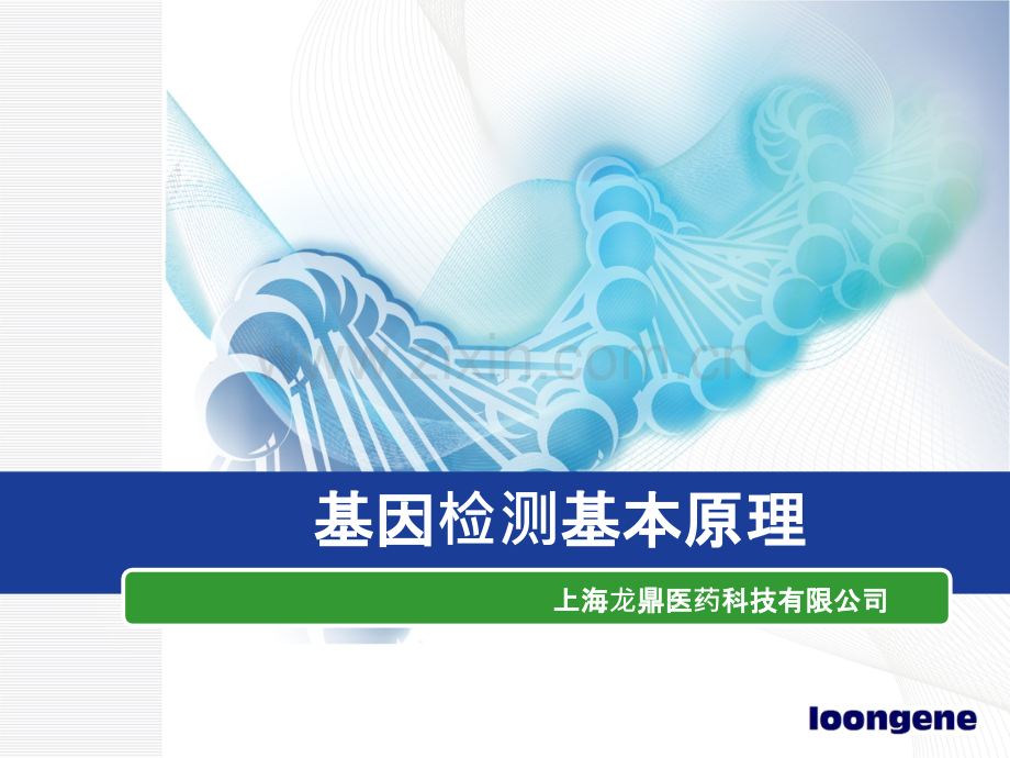 基因检测基本原理.ppt_第1页