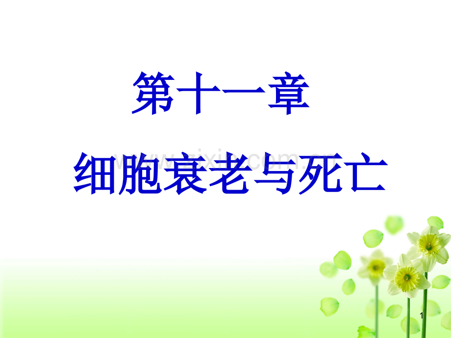 医学细胞生物学细胞衰老与死亡.ppt_第1页