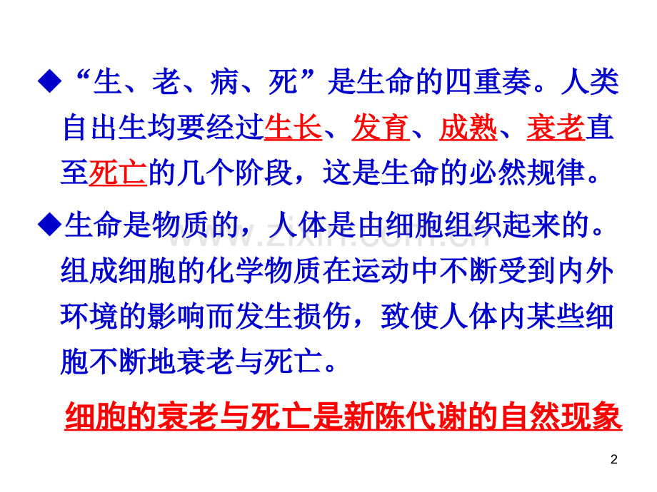 医学细胞生物学细胞衰老与死亡.ppt_第2页