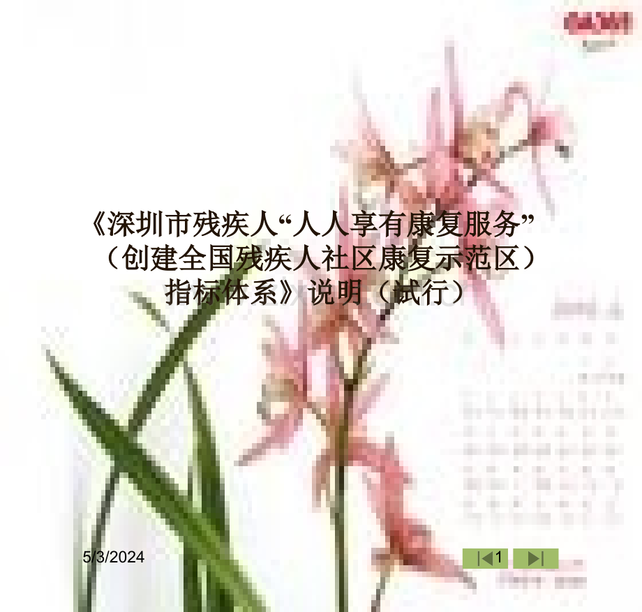 《创立全国残疾人社区康复示范区)目标系统》说明(试行)(指南).ppt_第1页