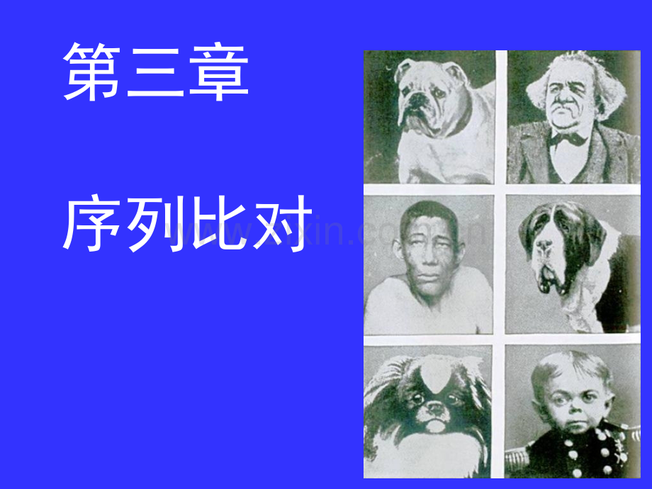 2019医学第三章序列比对..ppt_第1页