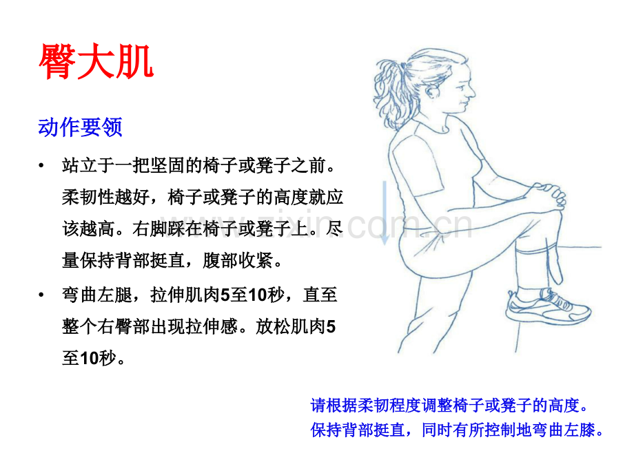 精准拉伸疼痛消除和损伤预防的针对性练习下肢肌肉.pptx_第3页