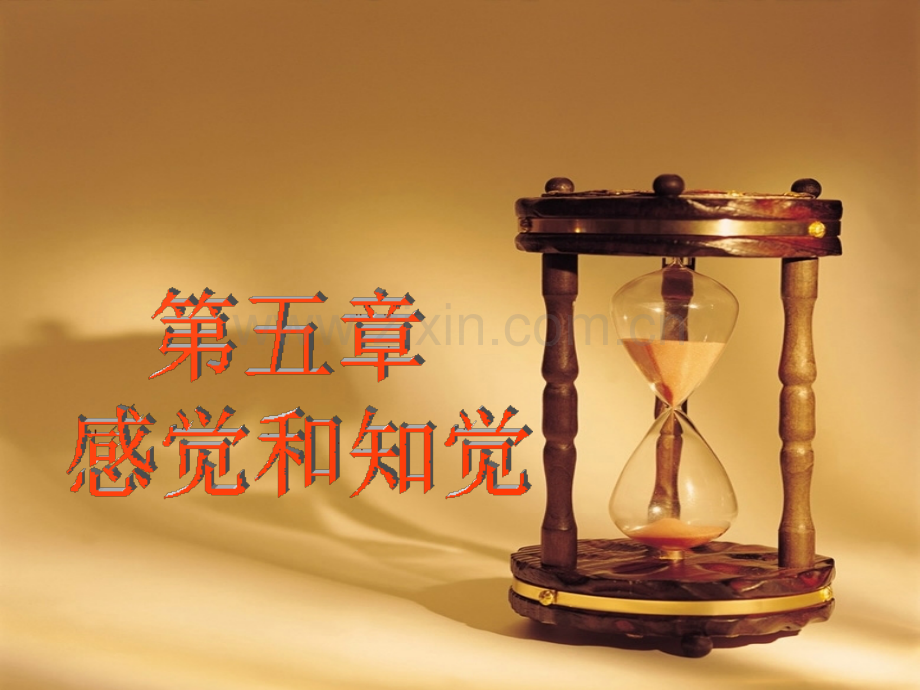 五感觉和知觉.ppt_第1页