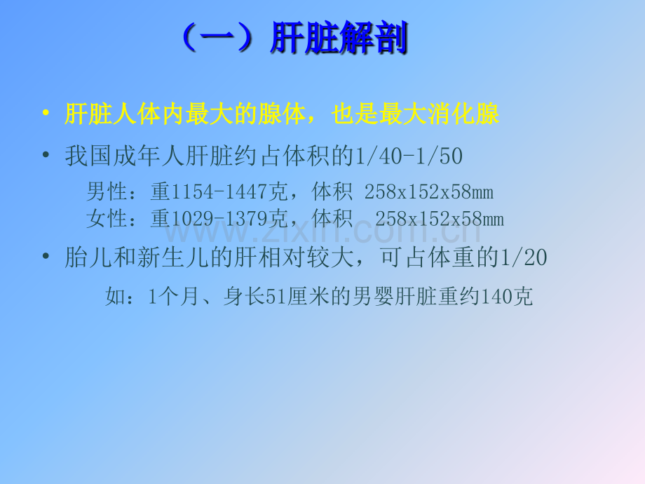 肝病基础知识.ppt_第2页