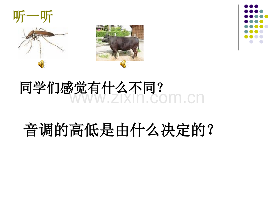 耳和听觉讲解.ppt_第2页