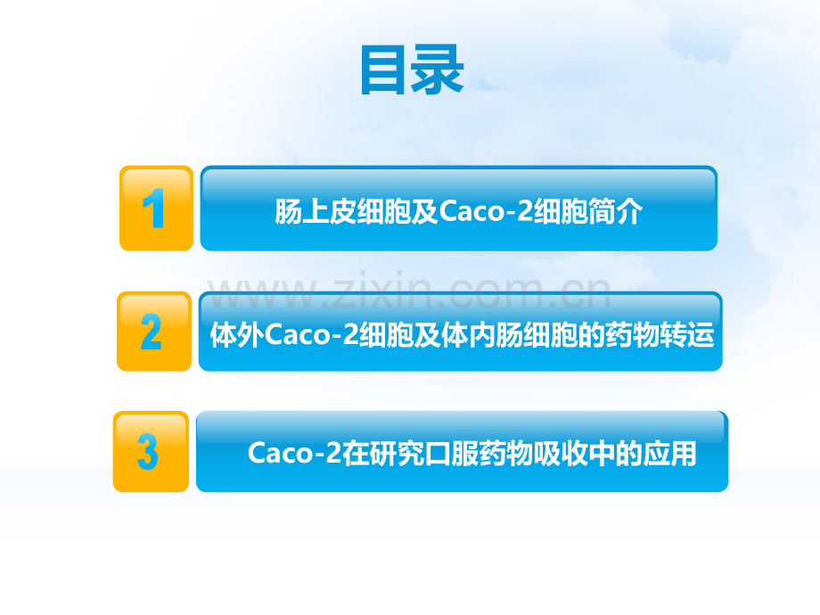 Caco2与口服药物的吸收.ppt_第2页
