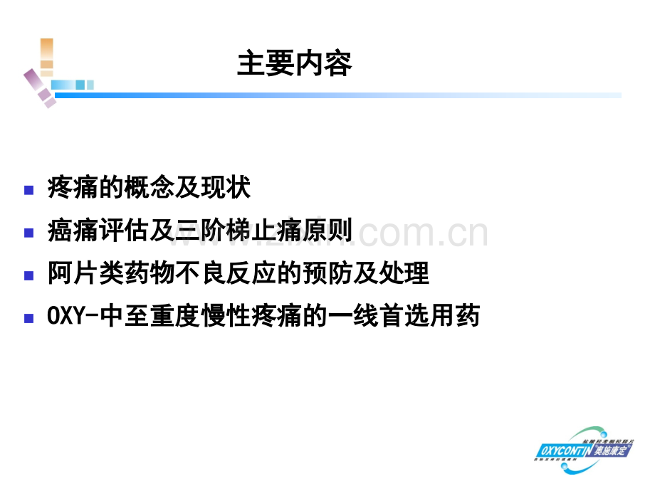 二十七、奥施康定(14-5-9).ppt_第2页