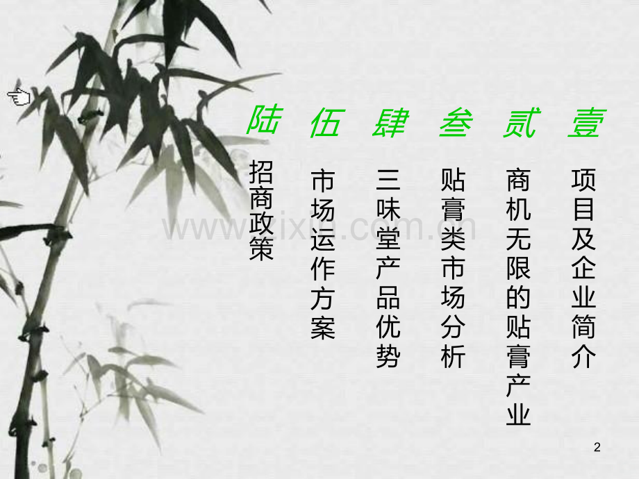 三味堂招商.ppt_第2页