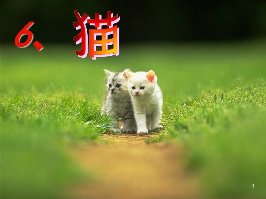 五年级下册语文S版《猫》.pptx_第1页