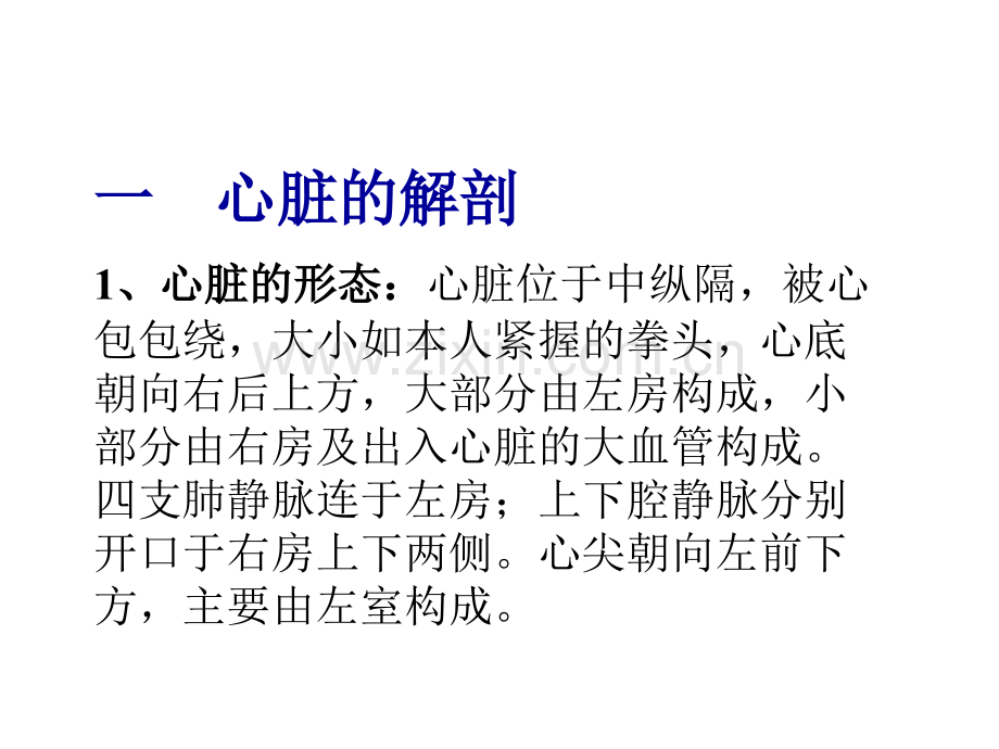 心脏的超声诊断.ppt_第2页