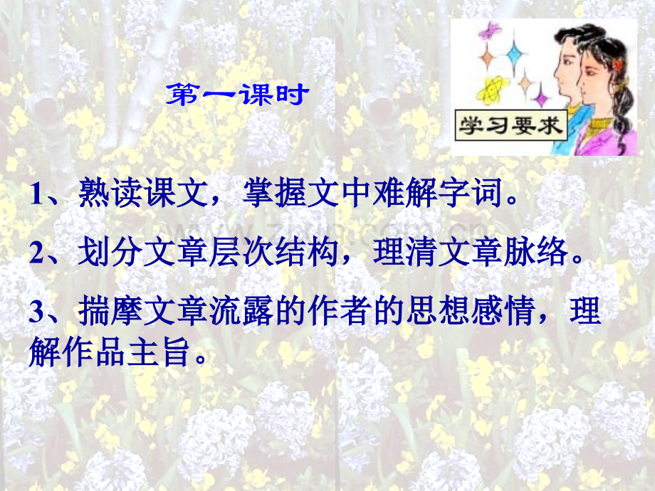 17--紫藤萝瀑布--主课件-.ppt_第2页