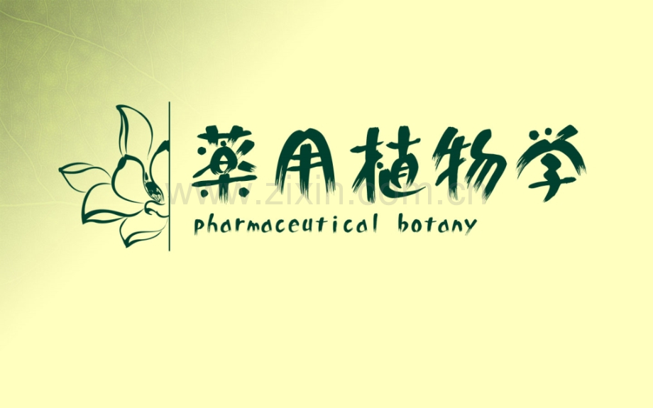 植物分类学概论-低等植物.pptx_第1页