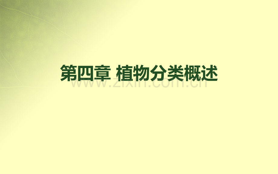 植物分类学概论-低等植物.pptx_第2页