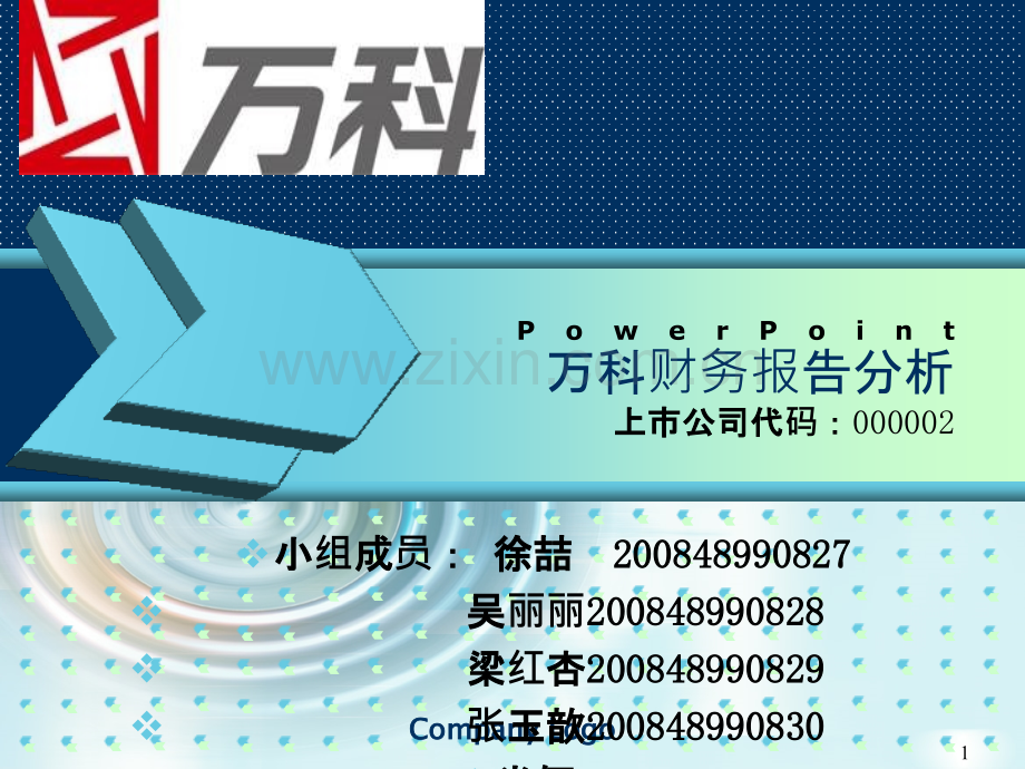 万科财务分析报告最终.ppt_第1页