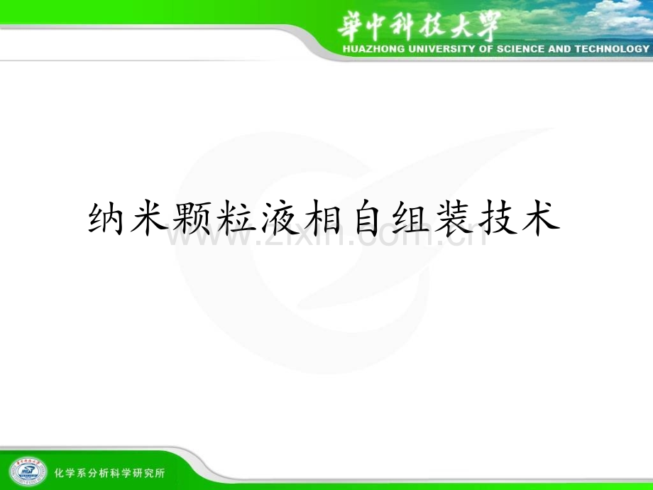 纳米颗粒自组装技术.ppt_第1页