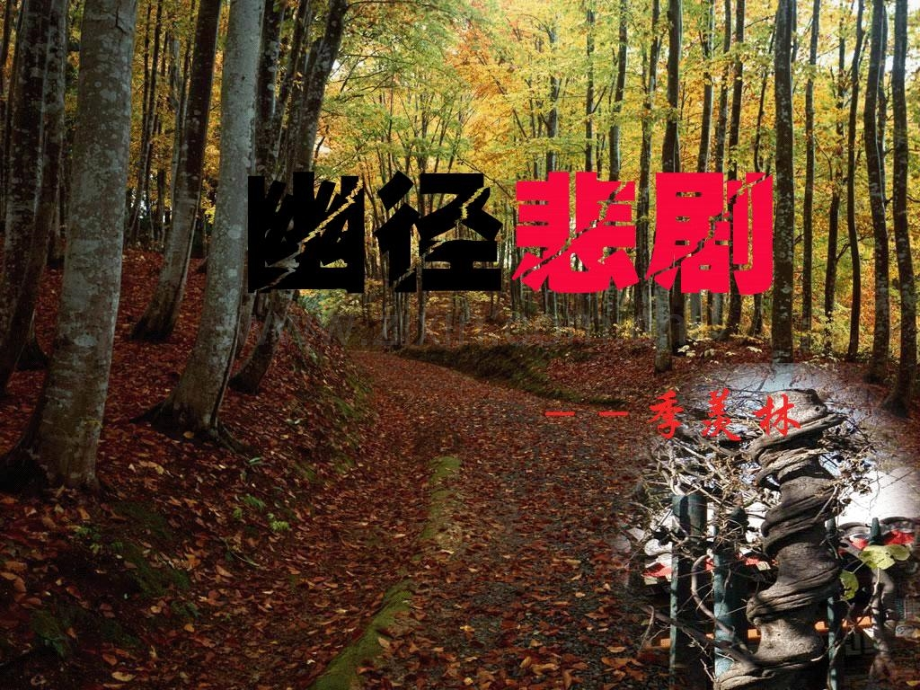 幽静悲剧.ppt_第1页