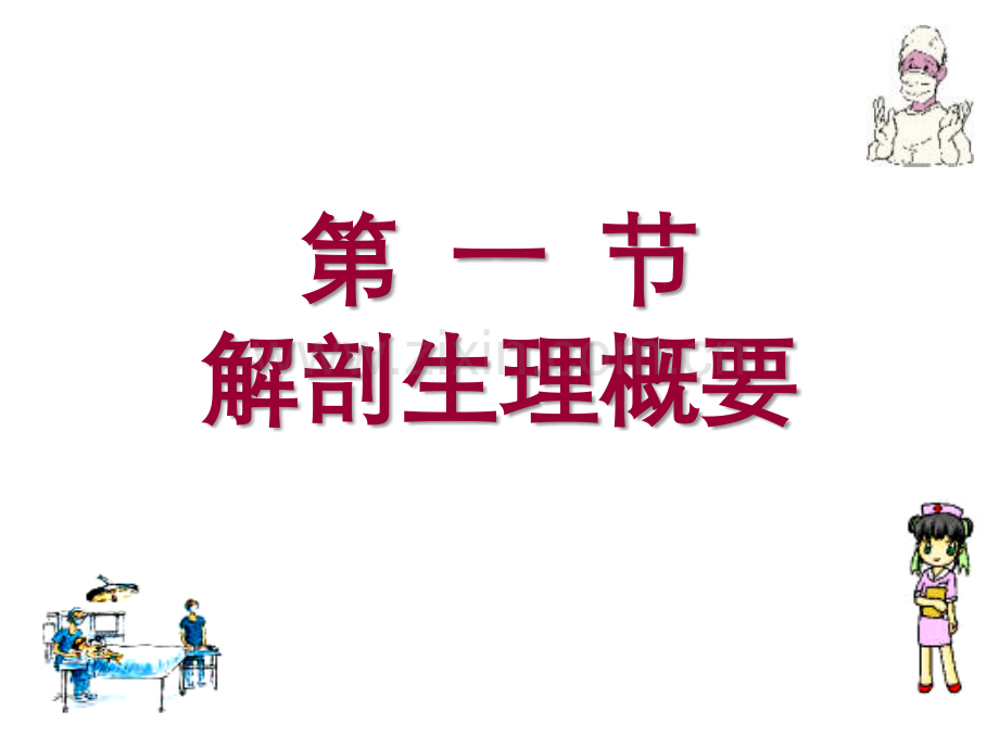 2019二十章节胃十二指肠疾病病人护理数学.ppt_第2页