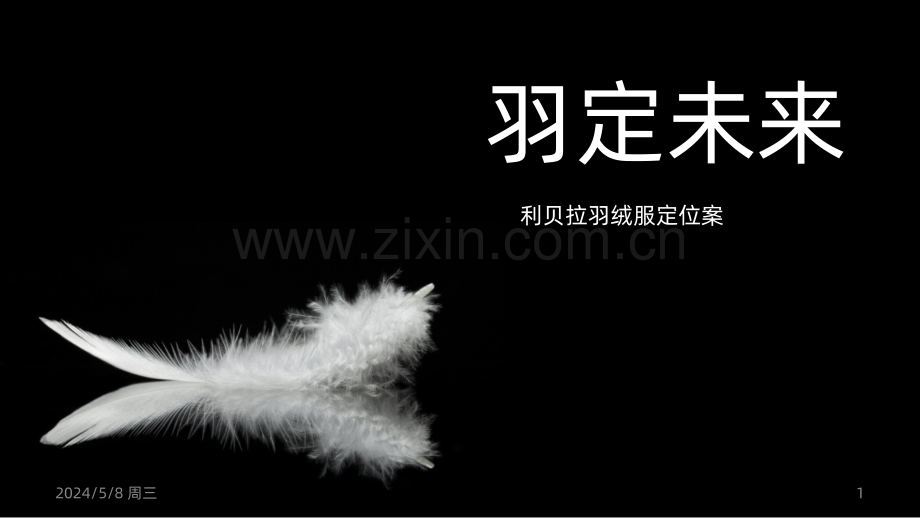 品牌定位方案.ppt_第1页