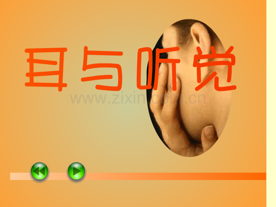 人体对外界环境的感知耳.ppt_第2页