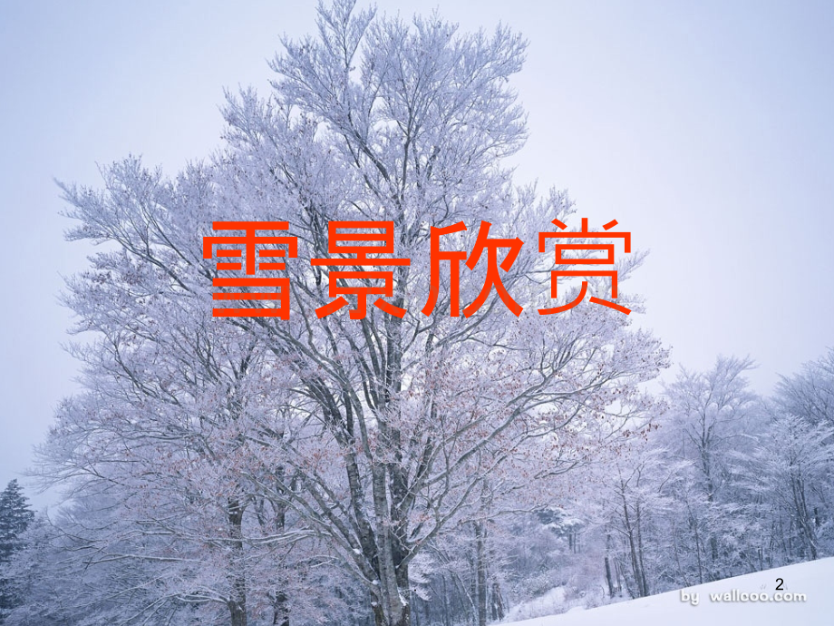 小学生如何写雪景(作文指导).ppt_第2页