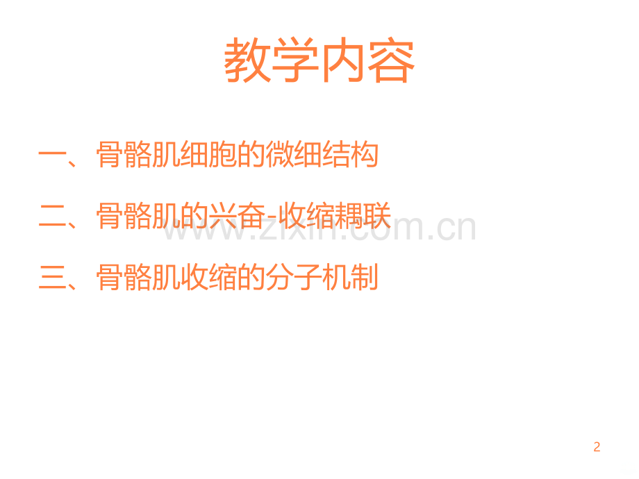 骨骼肌的兴奋收缩耦联.ppt_第2页