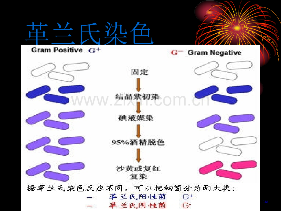 2019【医学研究】抗感染中国专家共识教育..ppt_第1页