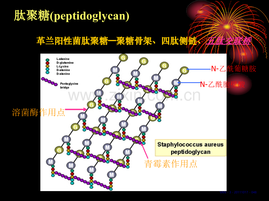 2019【医学研究】抗感染中国专家共识教育..ppt_第2页